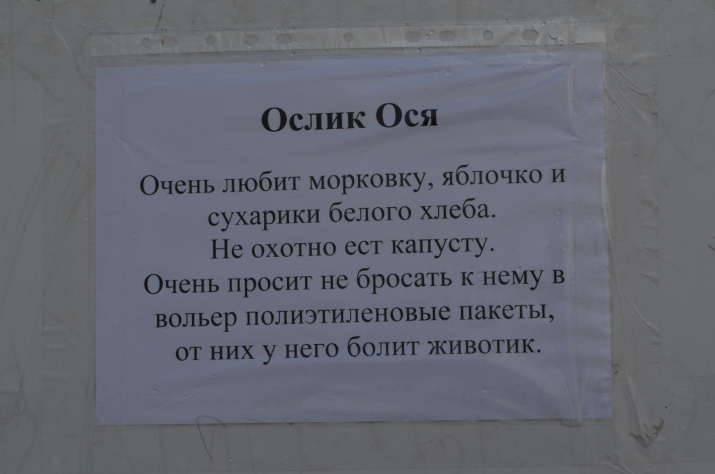 ''Зеленый субботник'' на территории Самарского областного детского эколого-биологического центра 