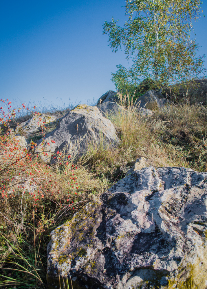 Валуны песчаника на территории памятника природы ''Оврага Зеркала''