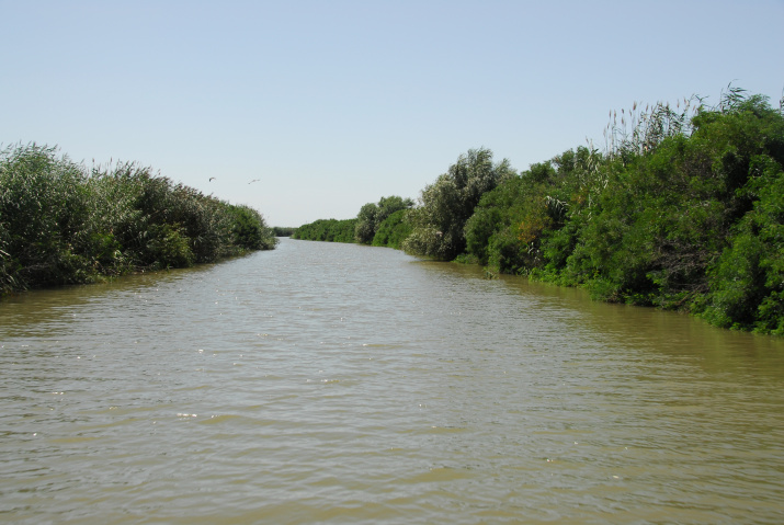 Рыбоходный канал в устье реки Урал