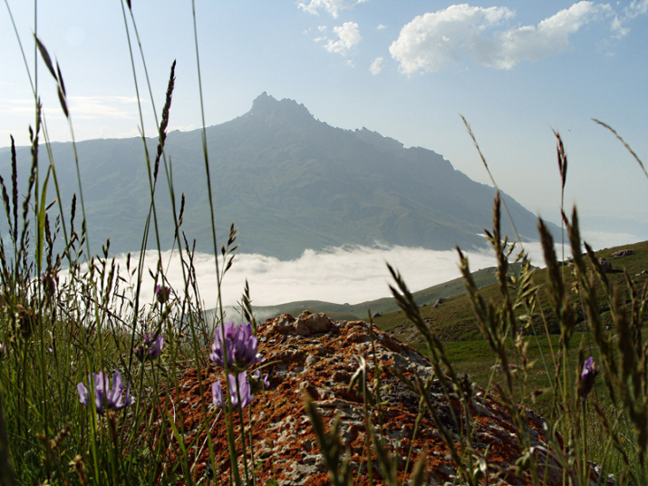 Вид на гору Шалбуздаг с горы Ярыдаг. Фото предоставлено Дагестанским республиканским отделением РГО