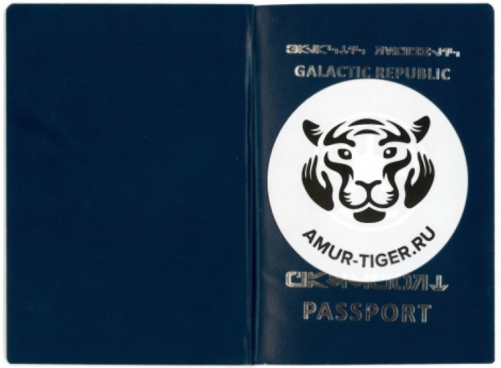 The materials are provided by the press service of the "Amur Tiger" Center