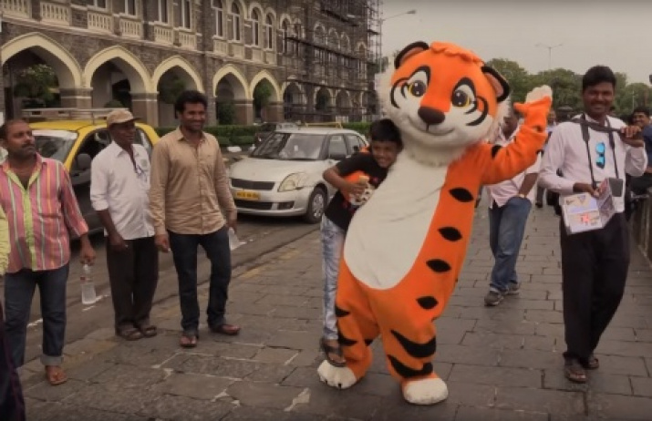 A shot from the trailer of the project "The Way of the Tiger". The materials are provided by the press service of the "Amur Tiger" Center