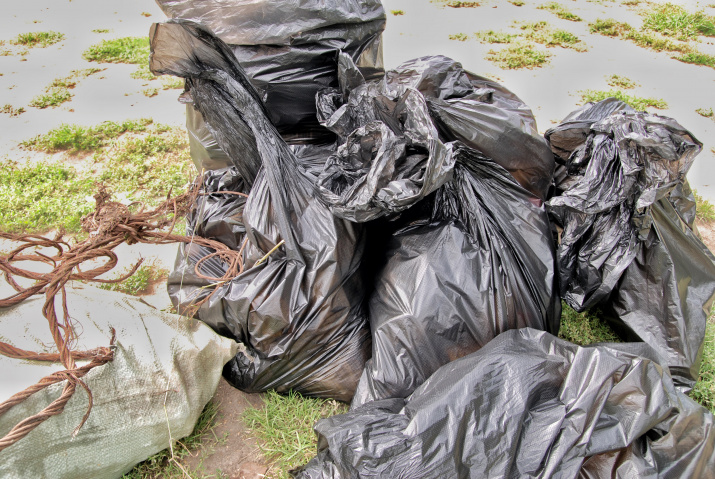 Основная масса собранного мусора - пластик и бытовые отходы после отдыха горожан