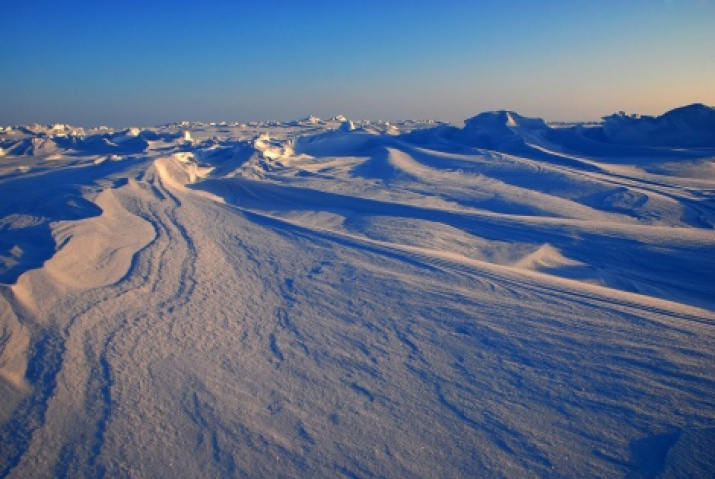 The Arctic. Photo by Yaroslav Nikitin