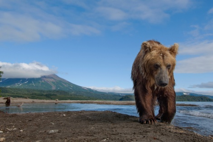 Kamchatka. Photo by Sergey Gorshkov