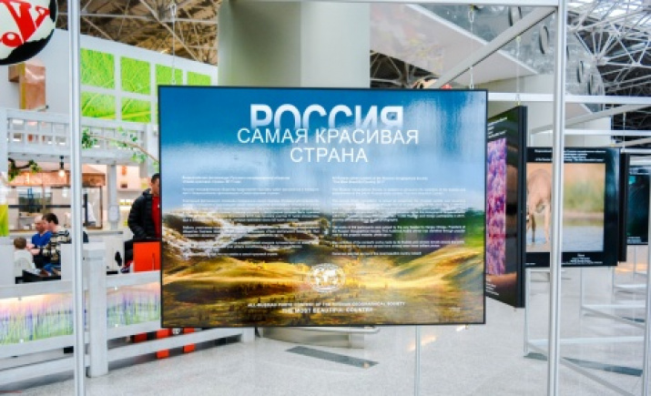 Photo provided by the press service of the Vnukovo airport 