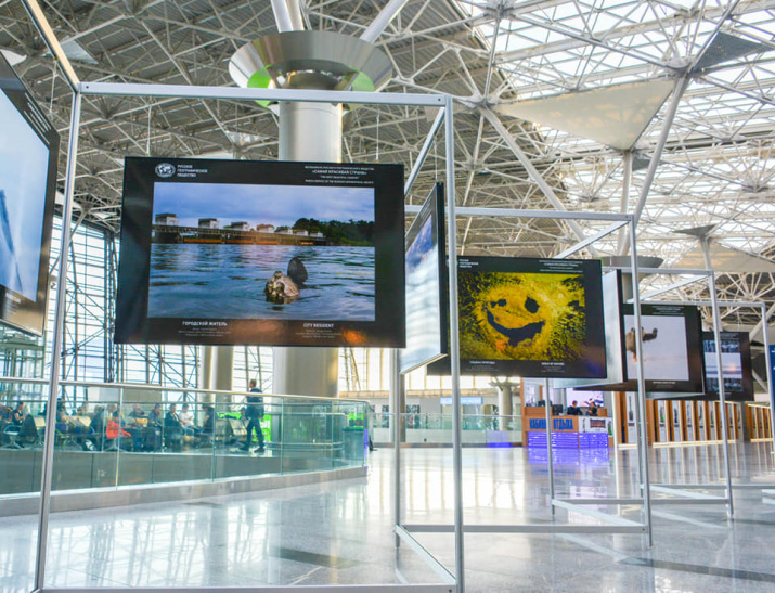 Photo by the press service of Vnukovo airport