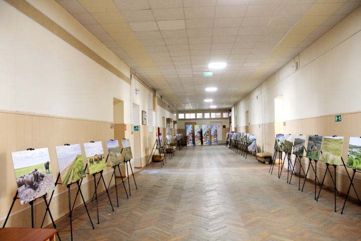 «Картины Природы Степного края» в коридорах ОГПУ. Фото Владимира Беребина