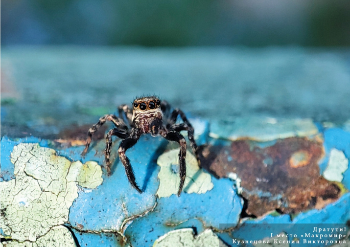 Победитель в номинации "Макромир" Ксения Кузнецова