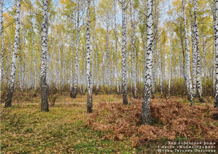 Фото победителя в номинации "Мобилография" Штунь Татьяна