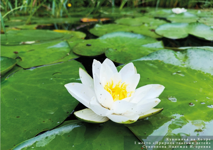 Фото победителя в номинации "Мир глазами детей" Суконновой Надежды