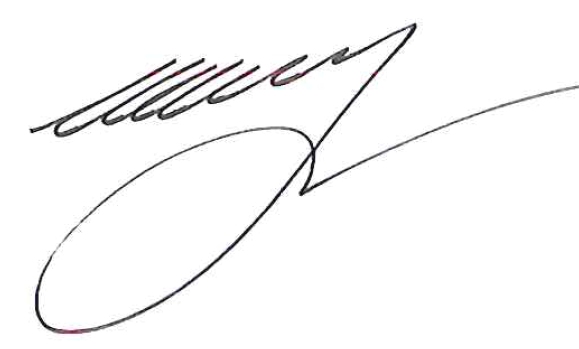 Подпись шойгу на документах фото с подписью. Подпись Сергея Шойгу. Автограф Шойгу. Подпись Шойгу министр.