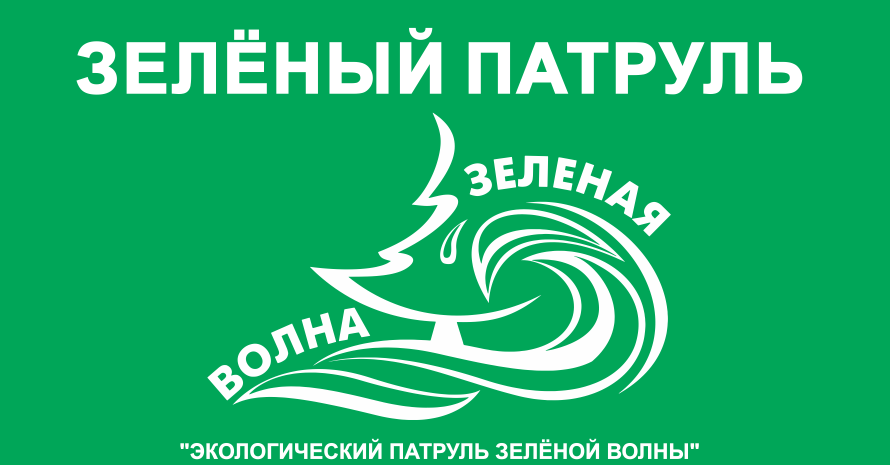 Экологический патруль проект