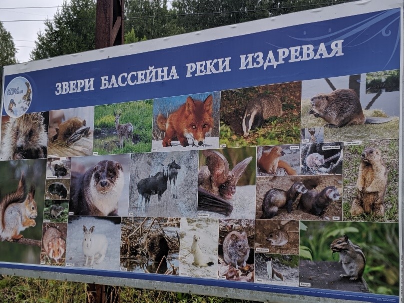 Станция издревая новосибирская область карта
