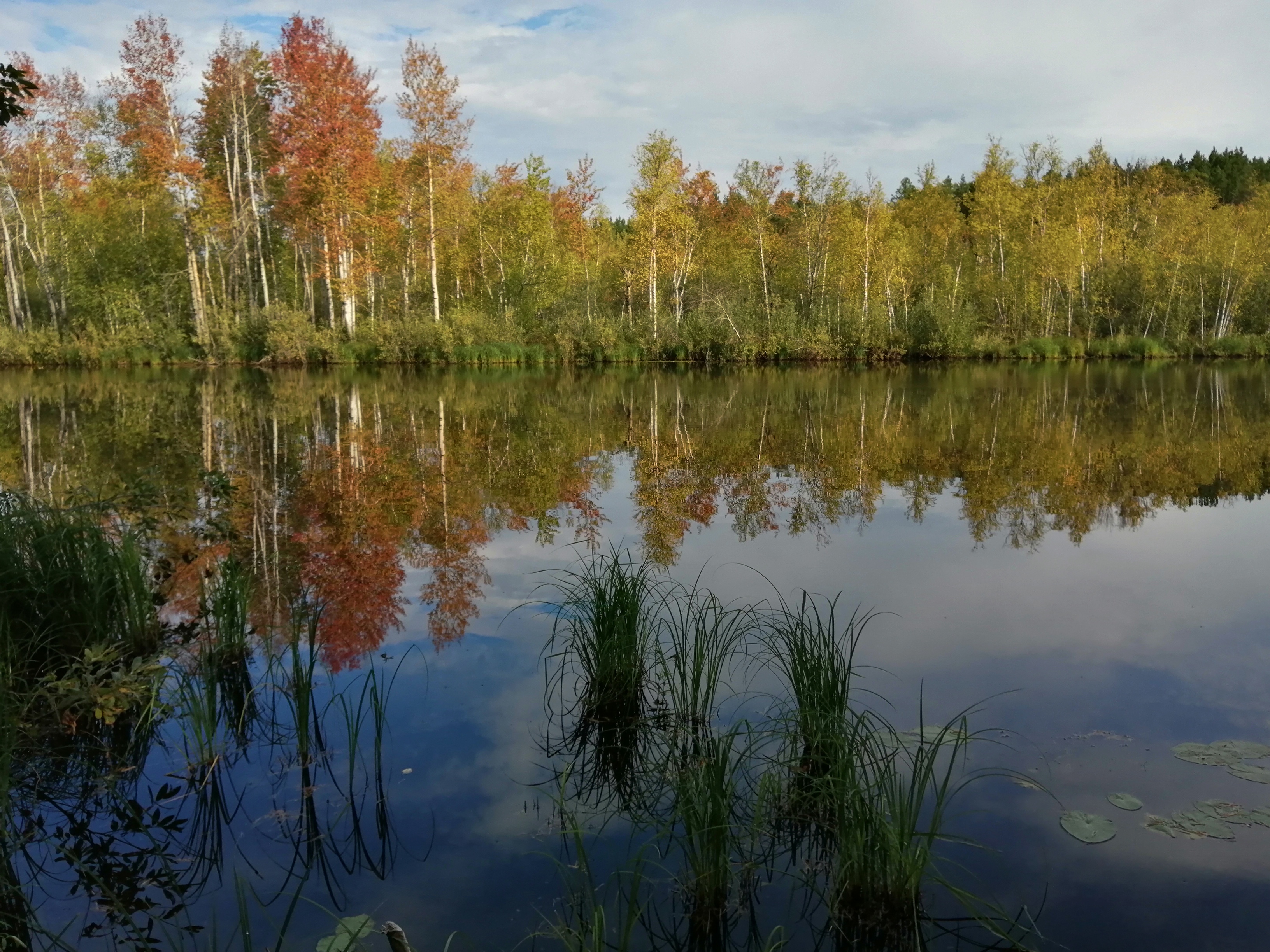 Картинки природа сегодня