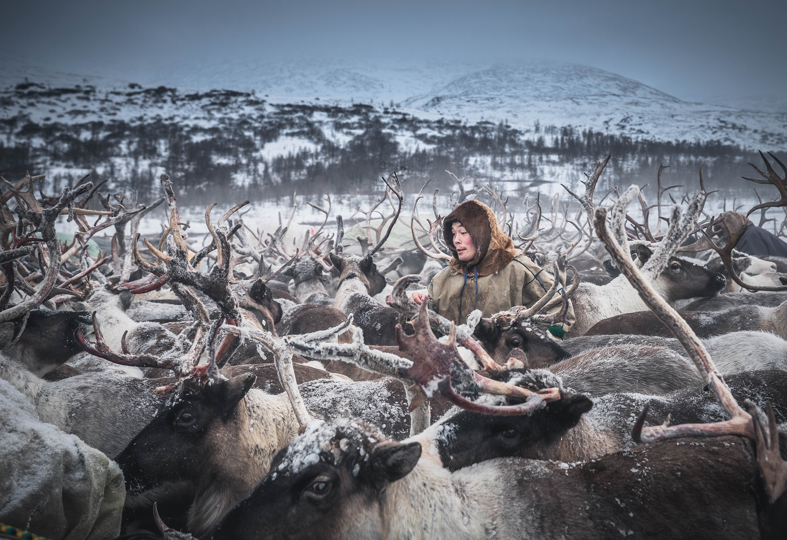 Сайт фотоконкурсов. Самая красивая Страна фотоконкурс. Географическое общество фотоконкурс. Русское географическое общество фотоконкурс 2022. Русское географическое общество фотоконкурс 2018.