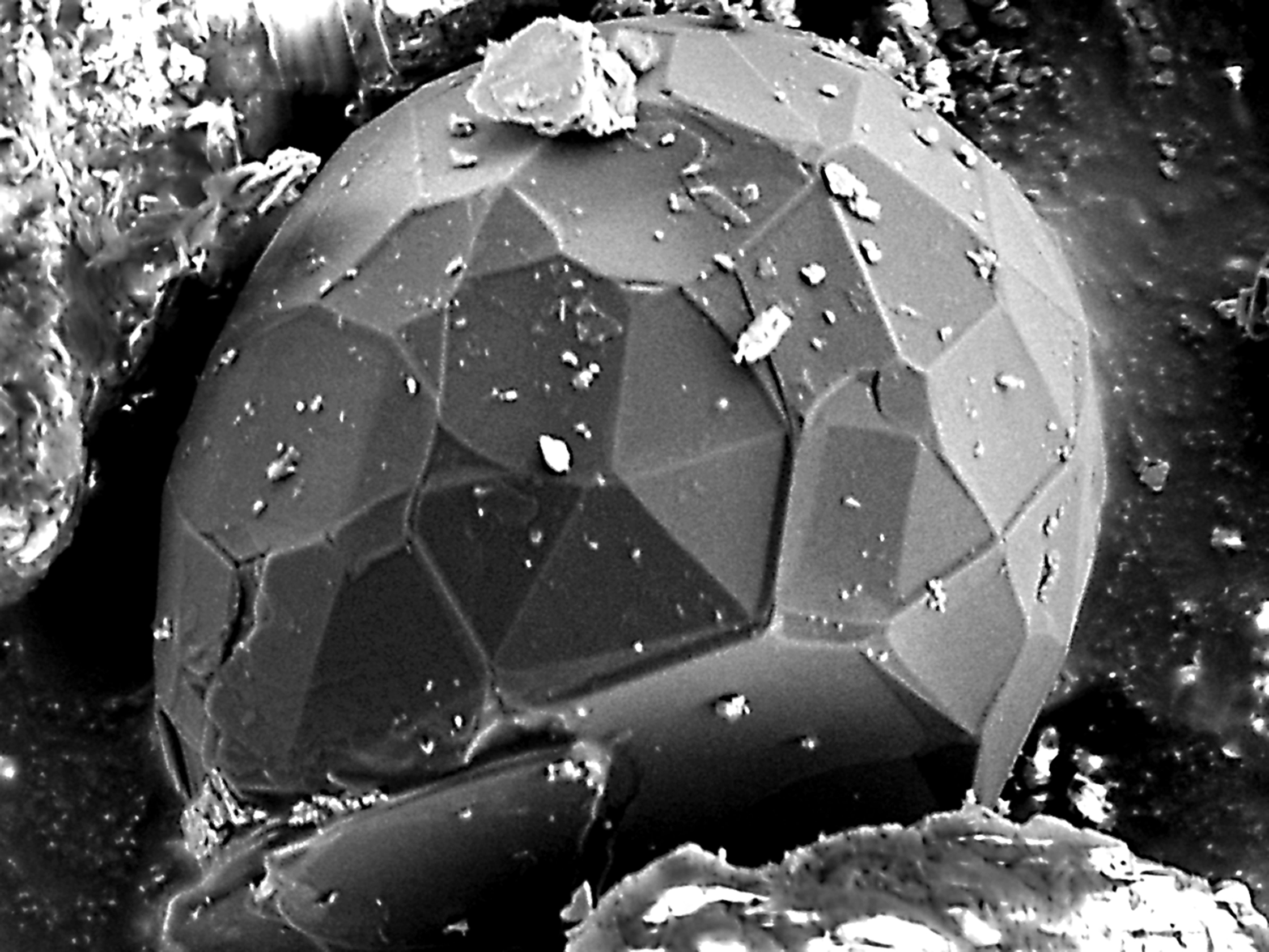 diamond.jpg | Русское географическое общество