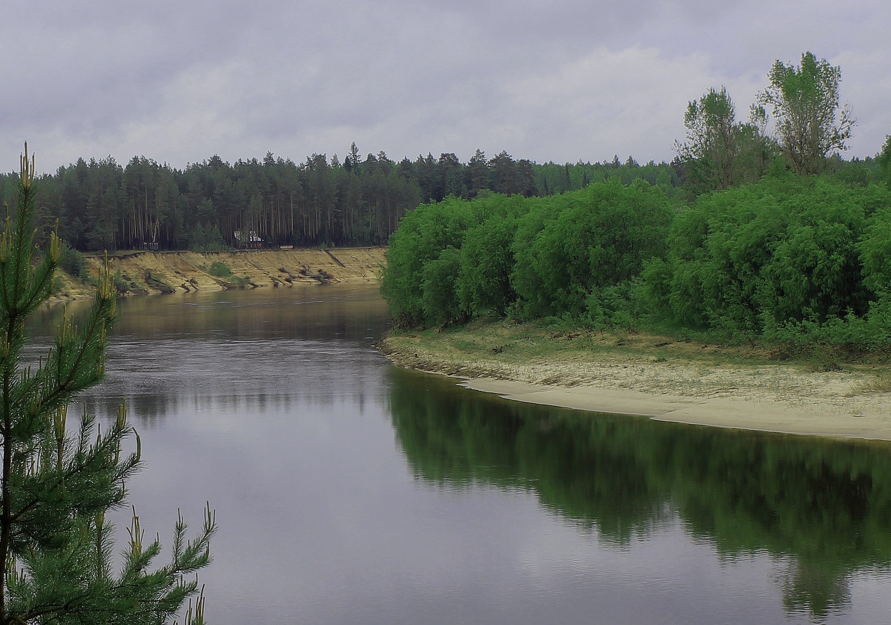 Ветлуга Нижегородская Область Знакомства