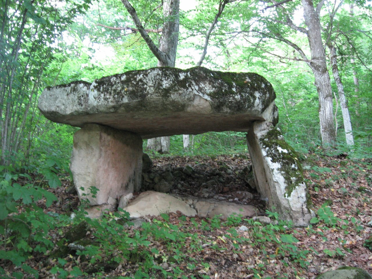 Баговская станица карта