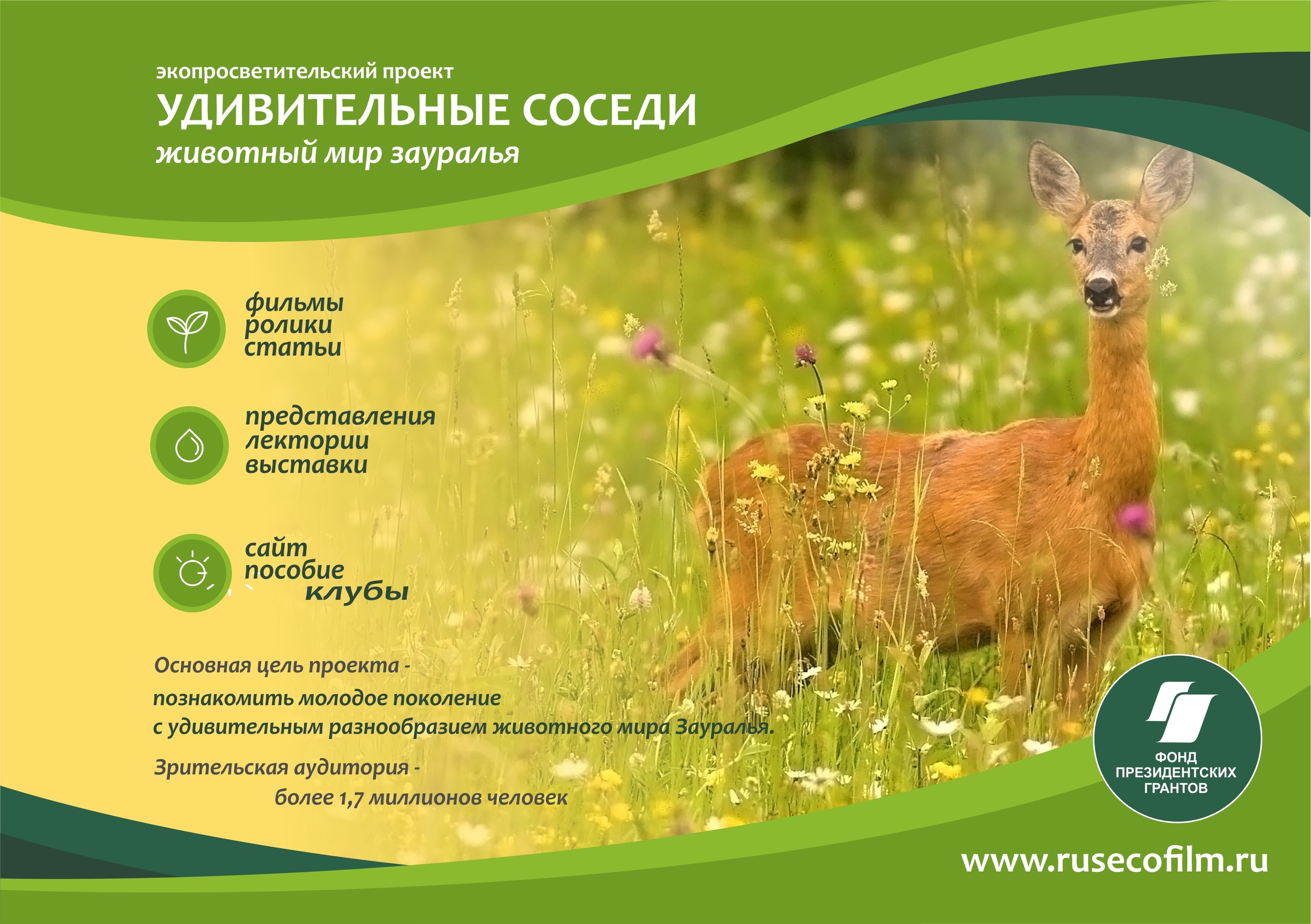 Животные зауралья