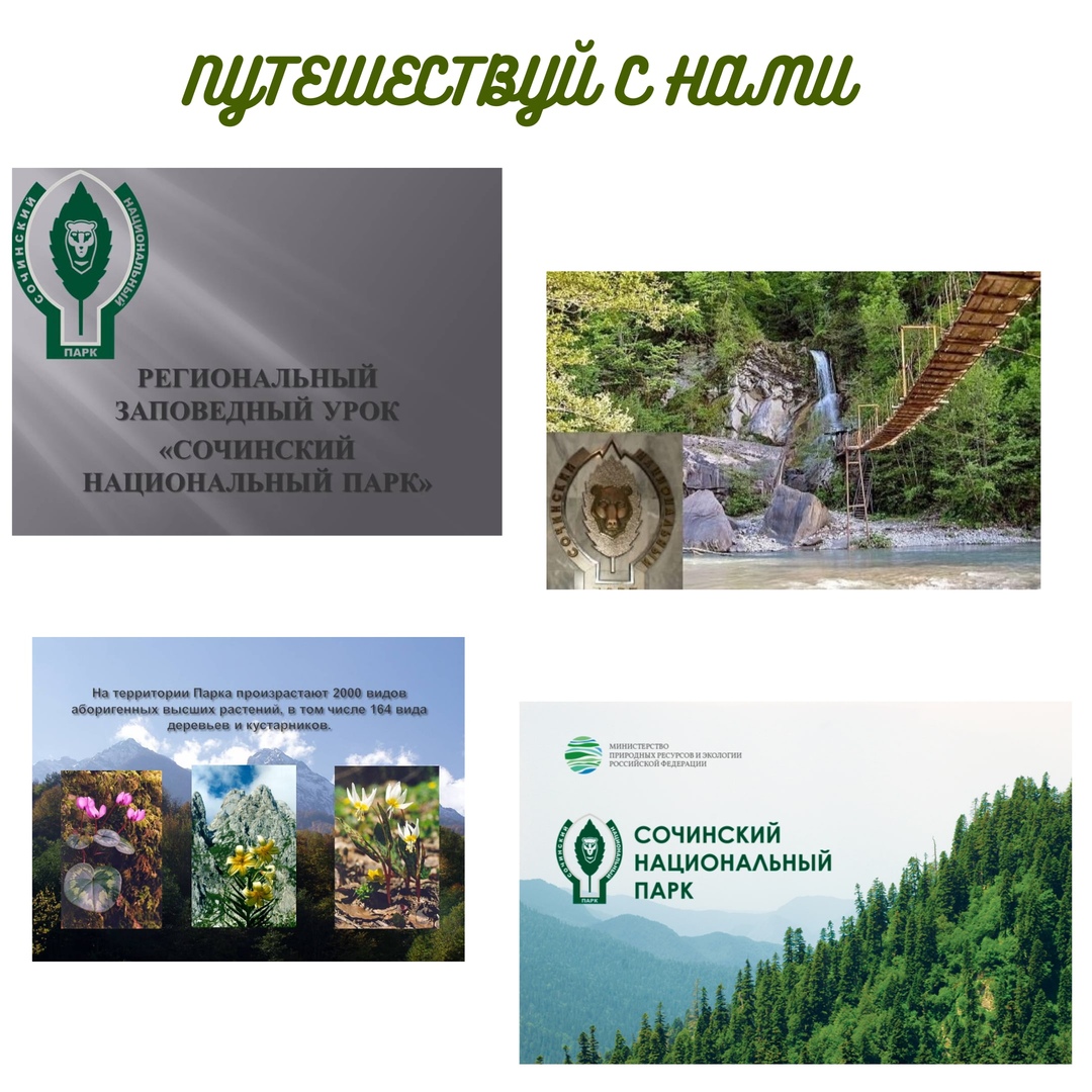 Сочи парк презентация