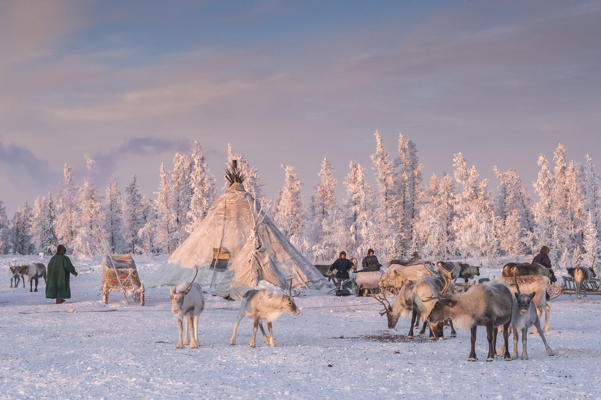 Жизнь на крайнем севере