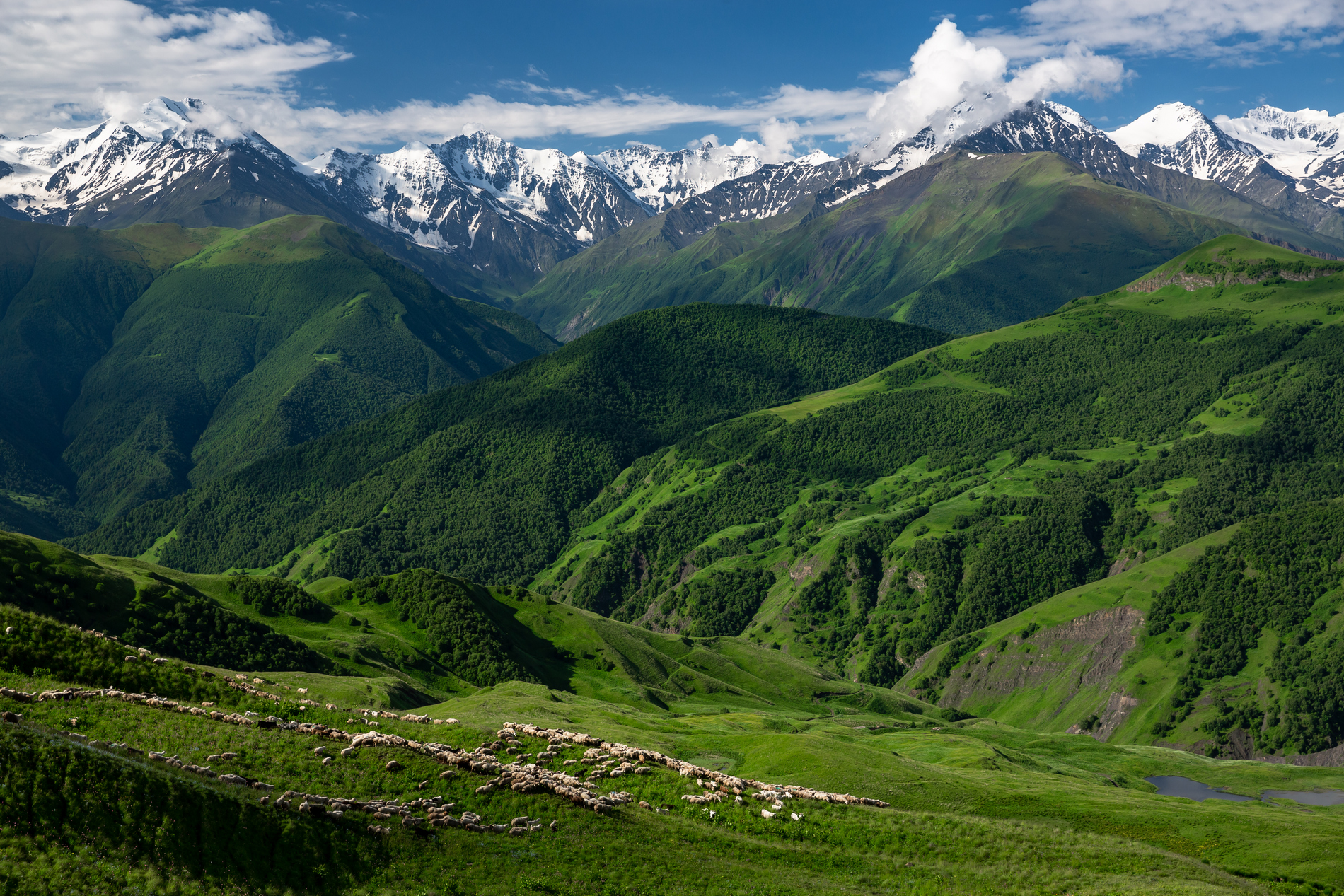 Северный кавказ самый район. Северная Осетия горы Альпийские Луга. Чеченская Республика горы Чеченской Республики. Итум Калинский район Альпийские Луга. Альпийские Луга Северного Кавказа.