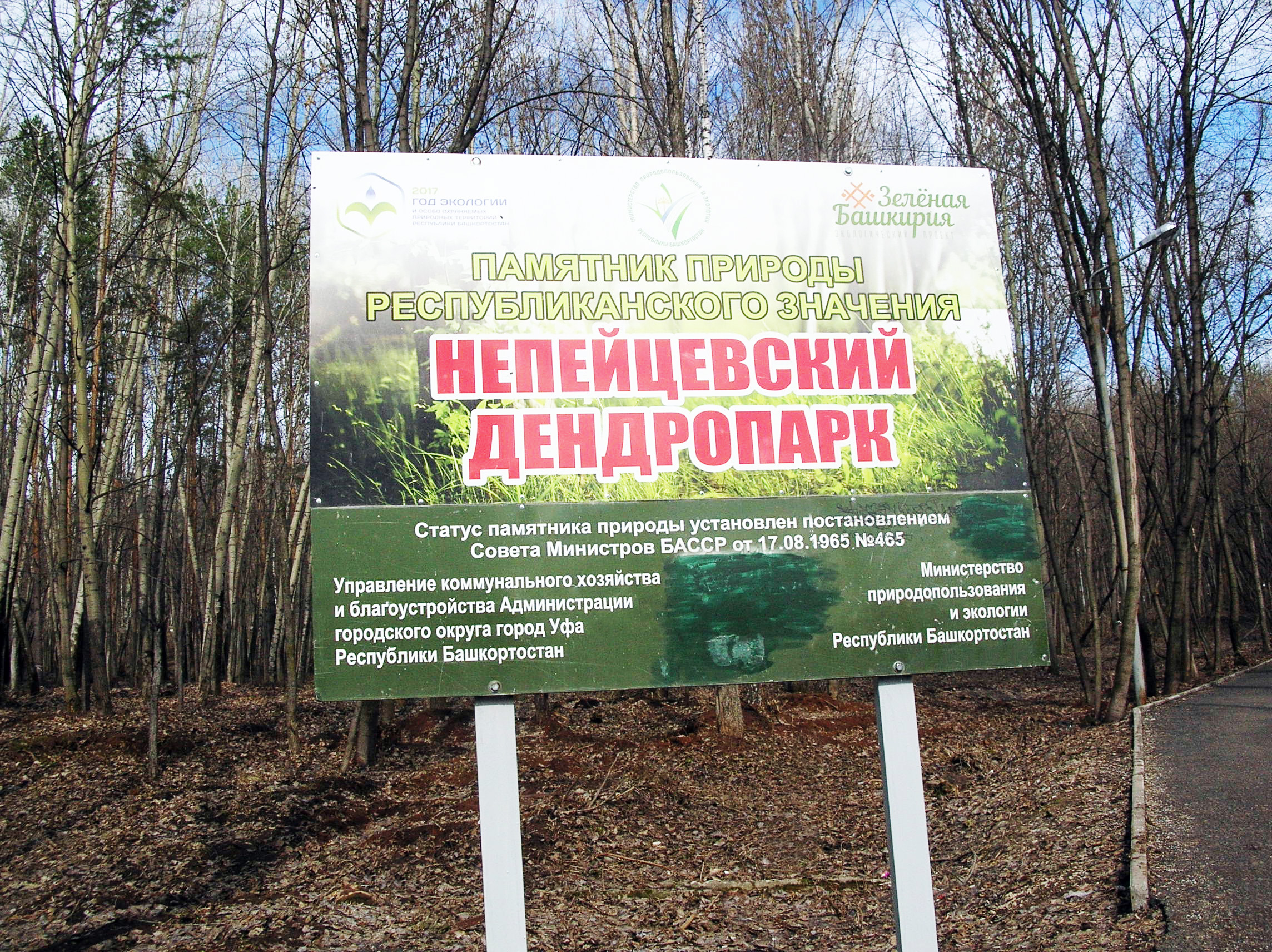 Непейцевский дендропарк в уфе. Непейцевский парк уфа. Непейцевский парк уфа. Непейцевский дендропарк реконструкция. Парк дендрарий уфа.