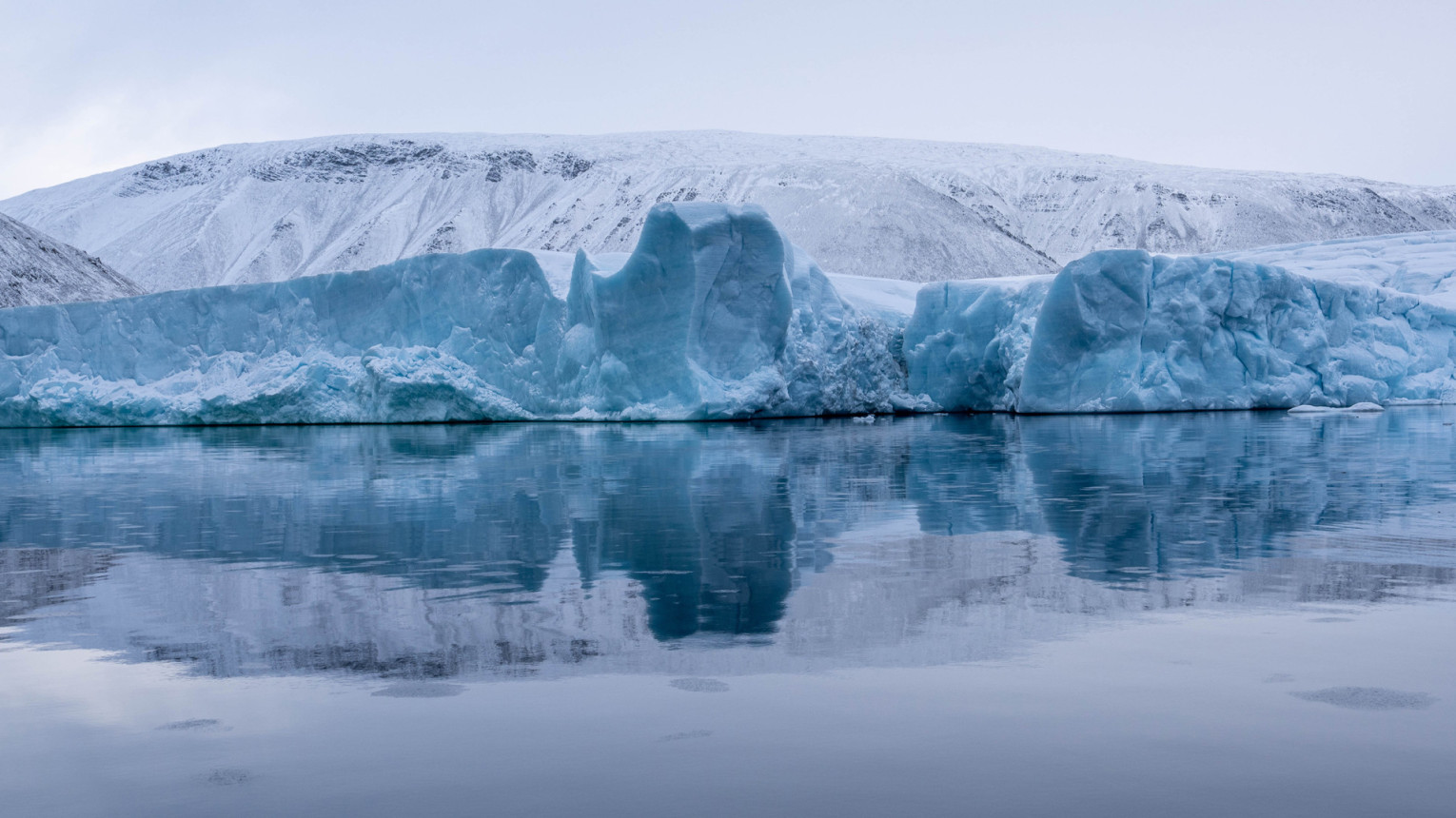 RGS’s Expedition Discovers Unknown Fjord On Ushakov Island Russian