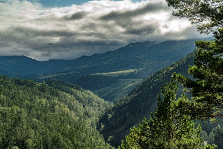 Фото предоставлено АКО ВОО РГО