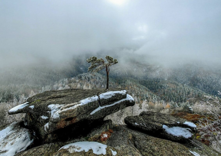 Фото предоставлено АКО ВОО РГО