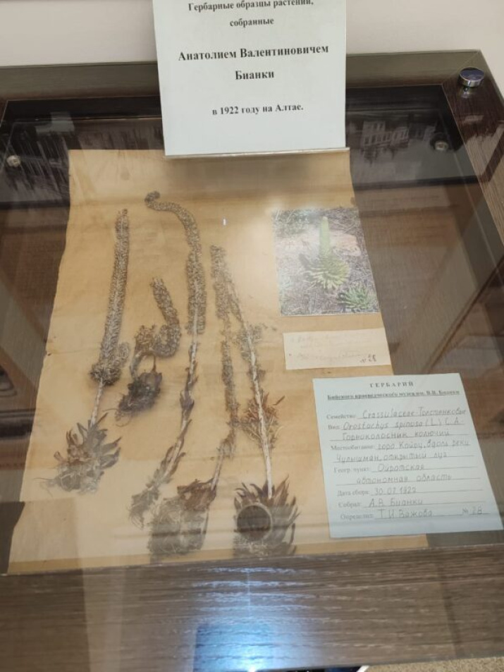 Фото предоставлено АКО ВОО РГО