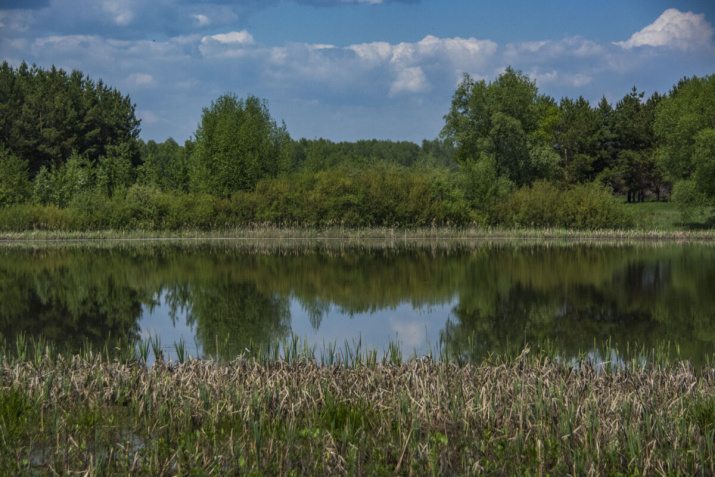 Фото предоставлено АКО ВОО РГО