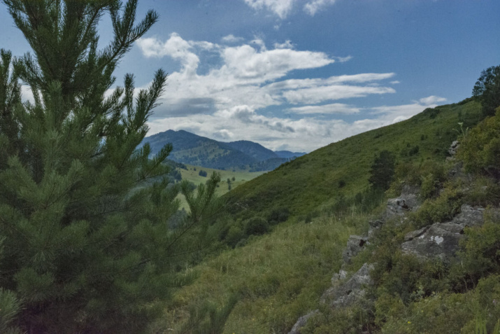 Фото предоставлено АКО ВОО РГО