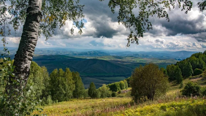 Фото предоставлено АКО ВОО РГО