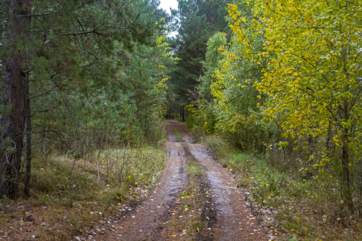 Фото предоставлено АКО ВОО РГО