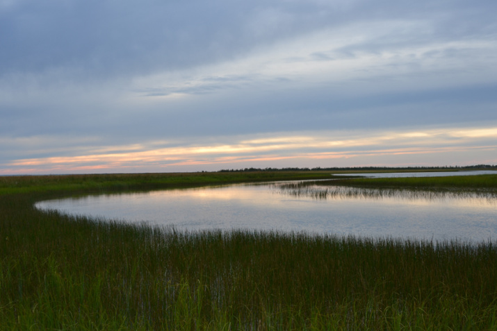 Исток реки Надым