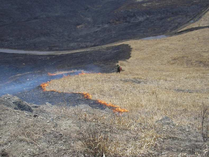 Пожары в национальном парке ''Земля леопарда''