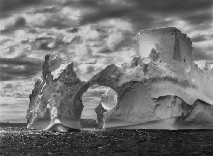 Photo by Sebastio Salgado. Photo is provided by the press-service of the «Genesis» project