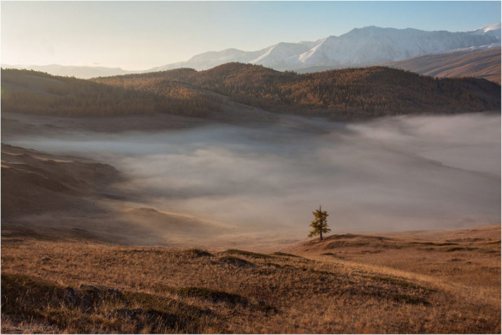 Фото: Эдуард Кутыгин