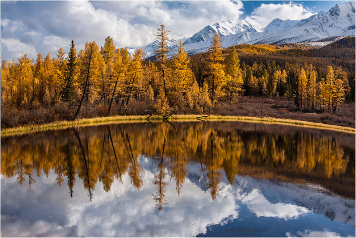 Фото: Эдуард Кутыгин