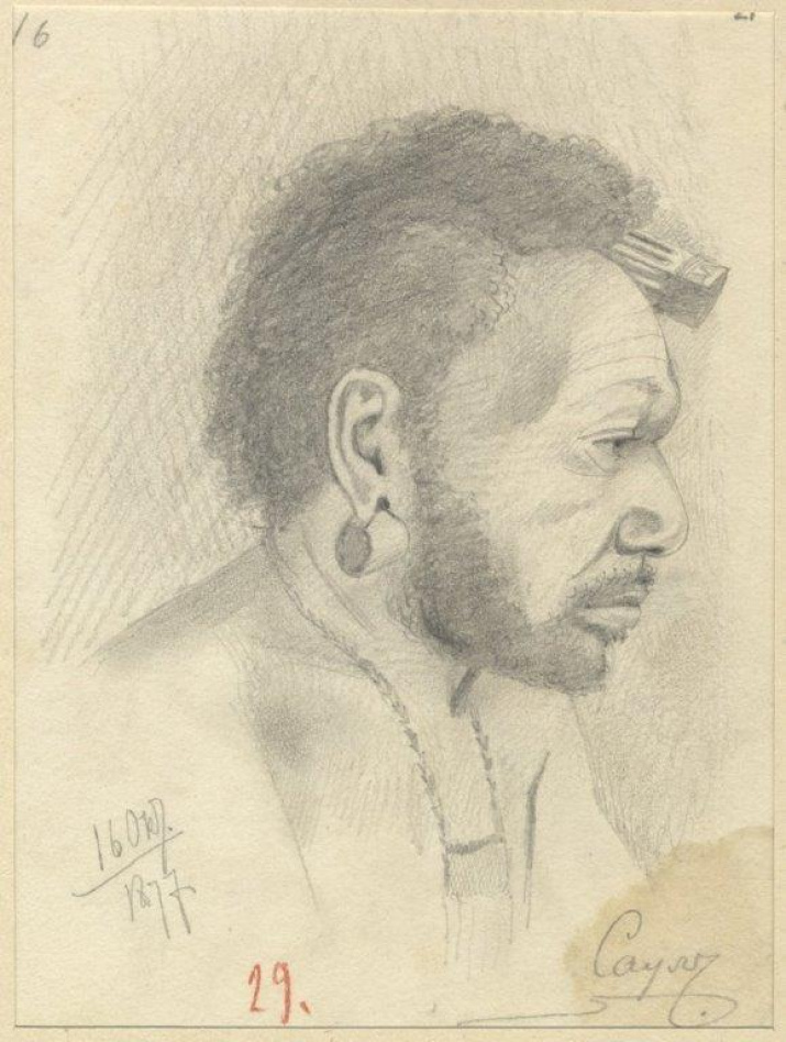 Саул, житель Новой Гвинеи. Рисунок Н.Н.Миклухо-Маклая. Фото: Научный архив РГО