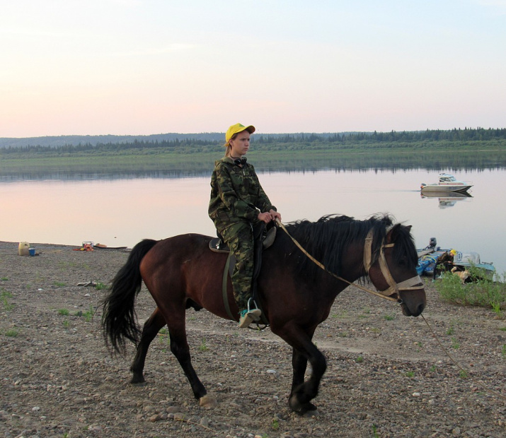 Для детей на территории лагеря были организованы конные прогулки. Фото предоставлено заповедником \"Центральносибирский\"