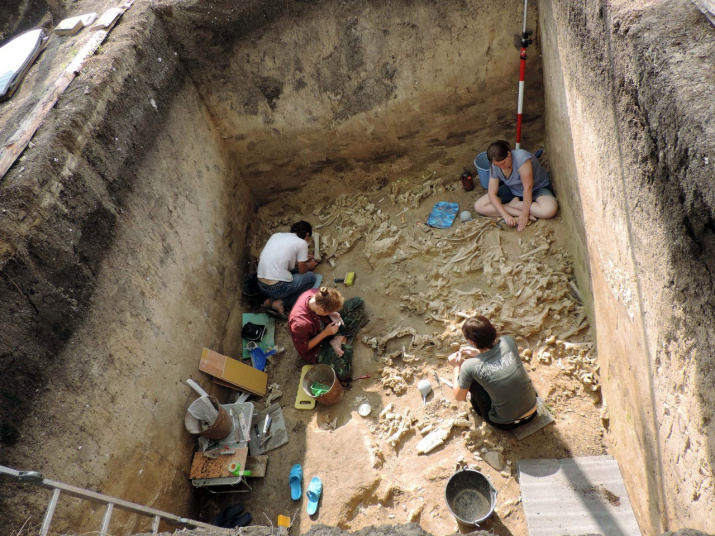 Костище Борщево-5, возраст 40 тысяч лет назад