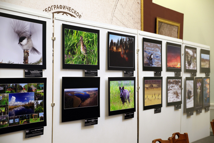 Выставка "Заповедная природа Ленинградской области" в Большом зале РГО в Петербурге. Фото: Александр Кузнецов