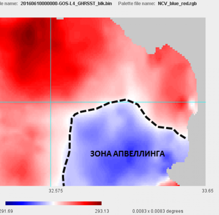 Рис. 5 Распределение поверхностной температуры по спутниковым данным с нанесенной апвеллинговой зоной
