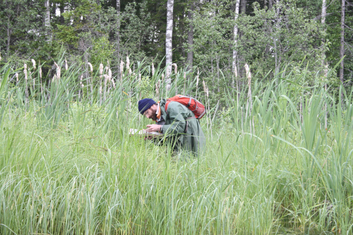 В экспедиции в Вожегодском районе