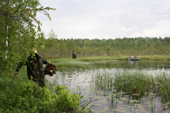На одном из малых озер Вожегодского района