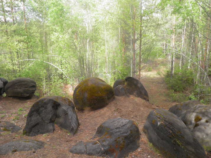Жуковлянские каменные «истуканы». Фото предоставлено КОО РГО