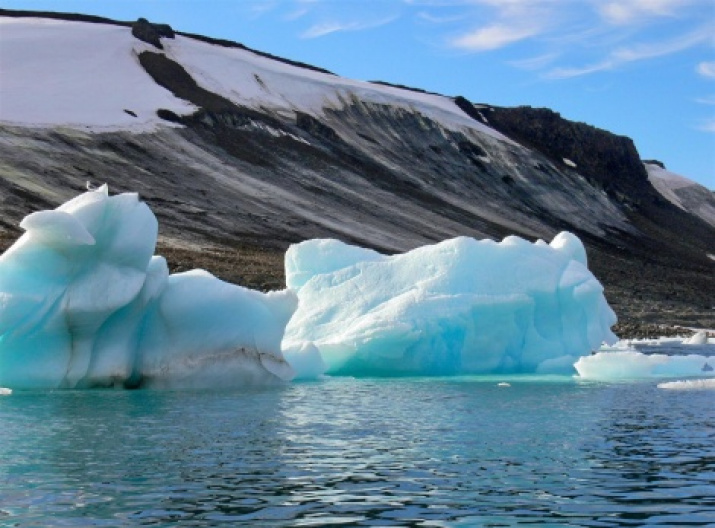 Hooker Island. Photo by M. Ivanov